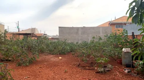 imagem 1 - Terreno à venda, 220m² - Jardim Santa Cecília - Bonfim Paulista. imagem 1 - Terreno à venda, 220m² - Jardim Santa Cecília - Bonfim Paulista.