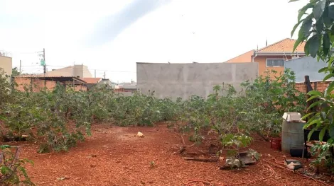 imagem 3 - Terreno à venda, 220m² - Jardim Santa Cecília - Bonfim Paulista. imagem 3 - Terreno à venda, 220m² - Jardim Santa Cecília - Bonfim Paulista.
