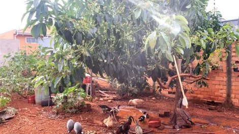 imagem 4 - Terreno à venda, 220m² - Jardim Santa Cecília - Bonfim Paulista. imagem 4 - Terreno à venda, 220m² - Jardim Santa Cecília - Bonfim Paulista.