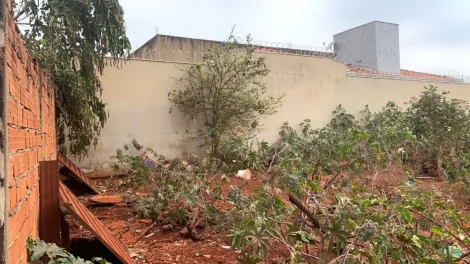 imagem 2 - Terreno à venda, 220m² - Jardim Santa Cecília - Bonfim Paulista. imagem 2 - Terreno à venda, 220m² - Jardim Santa Cecília - Bonfim Paulista.