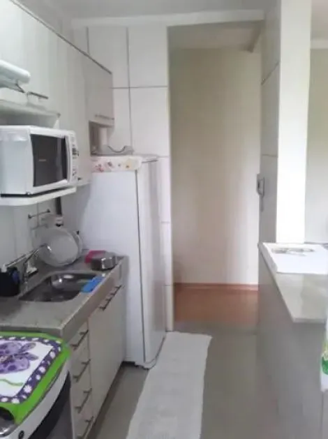 imagem 3 - Apartamento á venda com 2 quartos, 47 m² - Parque Rebouças - City Ribeirão. imagem 3 - Apartamento á venda com 2 quartos, 47 m² - Parque Rebouças - City Ribeirão.