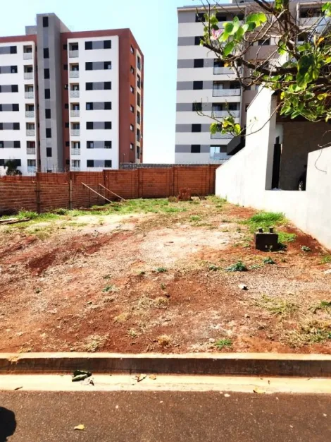 imagem 1 - Terreno à venda, 254 m² - Ilha Roma - San Marco ll. imagem 1 - Terreno à venda, 254 m² - Ilha Roma - San Marco ll.