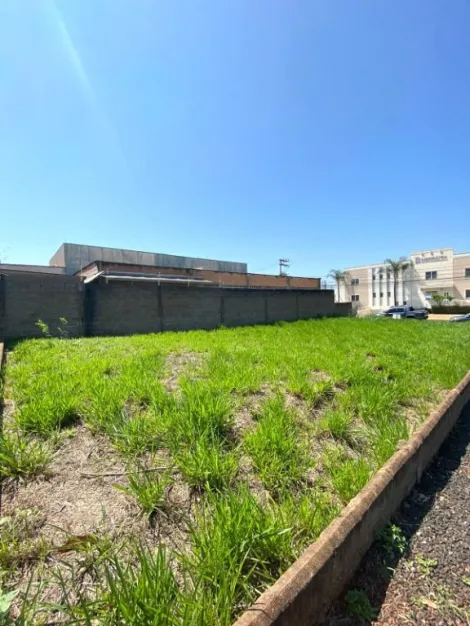 imagem 2 - Terreno à venda, 360 m² - Nova Ribeirânia. imagem 2 - Terreno à venda, 360 m² - Nova Ribeirânia.