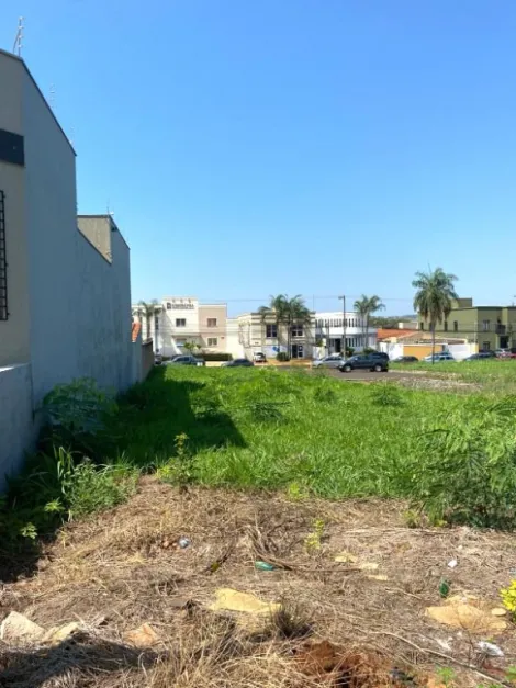 imagem 1 - Terreno à venda, 360 m² - Nova Ribeirânia. imagem 1 - Terreno à venda, 360 m² - Nova Ribeirânia.