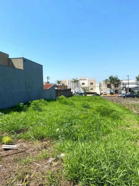 imagem 4 - Terreno à venda, 360 m² - Nova Ribeirânia. imagem 4 - Terreno à venda, 360 m² - Nova Ribeirânia.