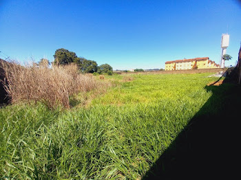 imagem 4 - Área à venda, 6640 m² - Ipiranga. imagem 4 - Área à venda, 6640 m² - Ipiranga.