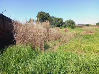 imagem 3 - Área à venda, 6640 m² - Ipiranga. imagem 3 - Área à venda, 6640 m² - Ipiranga.