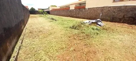 imagem 1 - Terreno à venda, 350m² - Jardim Novo Mundo. imagem 1 - Terreno à venda, 350m² - Jardim Novo Mundo.