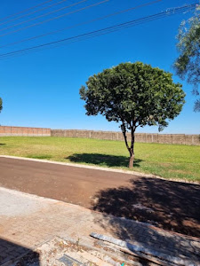 imagem 3 - Terreno à venda, 780 m² por R$ 330.000 - Centro - Cravinhos/SP imagem 3 - Terreno à venda, 780 m² por R$ 330.000 - Centro - Cravinhos/SP