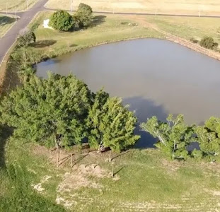 imagem 2 - Terreno à venda, 1500 m² por R$ 450.000,00 - Cássias dos Coqueiros  - Cajuru/SP imagem 2 - Terreno à venda, 1500 m² por R$ 450.000,00 - Cássias dos Coqueiros  - Cajuru/SP