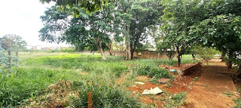imagem 5 - Terreno à venda, 3264 m² por R$ 1.750.000,00 - Ipiranga - Ribeirão Preto/SP imagem 5 - Terreno à venda, 3264 m² por R$ 1.750.000,00 - Ipiranga - Ribeirão Preto/SP