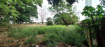 imagem 4 - Terreno à venda, 3264 m² por R$ 1.750.000,00 - Ipiranga - Ribeirão Preto/SP imagem 4 - Terreno à venda, 3264 m² por R$ 1.750.000,00 - Ipiranga - Ribeirão Preto/SP