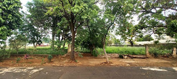 imagem 2 - Terreno à venda, 3264 m² por R$ 1.750.000,00 - Ipiranga - Ribeirão Preto/SP imagem 2 - Terreno à venda, 3264 m² por R$ 1.750.000,00 - Ipiranga - Ribeirão Preto/SP