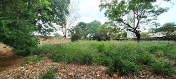imagem 1 - Terreno à venda, 3264 m² por R$ 1.750.000,00 - Ipiranga - Ribeirão Preto/SP imagem 1 - Terreno à venda, 3264 m² por R$ 1.750.000,00 - Ipiranga - Ribeirão Preto/SP