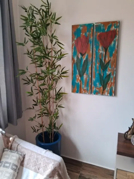 imagem 3 - Apartamento à venda com 3 quartos, 98m² - Edifício Jurema - Jardim Irajá. imagem 3 - Apartamento à venda com 3 quartos, 98m² - Edifício Jurema - Jardim Irajá.