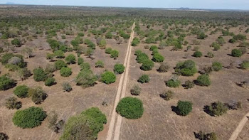 imagem 1 - Fazenda à venda, 72600000 m² por R$ 225.000.000,00 - Zona Rural - Porto Nacional/TO imagem 1 - Fazenda à venda, 72600000 m² por R$ 225.000.000,00 - Zona Rural - Porto Nacional/TO