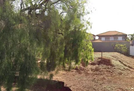 imagem 2 - Terreno à venda, 490m² - City Ribeirão. imagem 2 - Terreno à venda, 490m² - City Ribeirão.