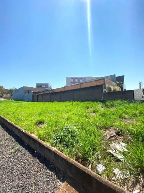 imagem 2 - Terreno à venda, 360m² - Nova Ribeirânia. imagem 2 - Terreno à venda, 360m² - Nova Ribeirânia.