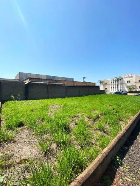 imagem 1 - Terreno à venda, 360m² - Nova Ribeirânia. imagem 1 - Terreno à venda, 360m² - Nova Ribeirânia.