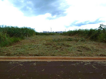 imagem 1 - Terreno à venda, 300 m² por R$ 225.000 - Villas do Mirante - Ribeirão Preto/SP imagem 1 - Terreno à venda, 300 m² por R$ 225.000 - Villas do Mirante - Ribeirão Preto/SP