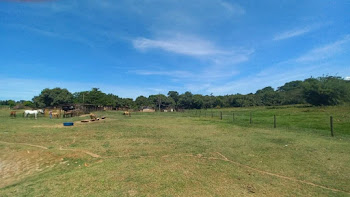 imagem 5 - Sítio com 2 dormitórios para alugar, 36000 m² por R$ 4.500,00/mês - Zona Rural - Serra Azul/SP imagem 5 - Sítio com 2 dormitórios para alugar, 36000 m² por R$ 4.500,00/mês - Zona Rural - Serra Azul/SP