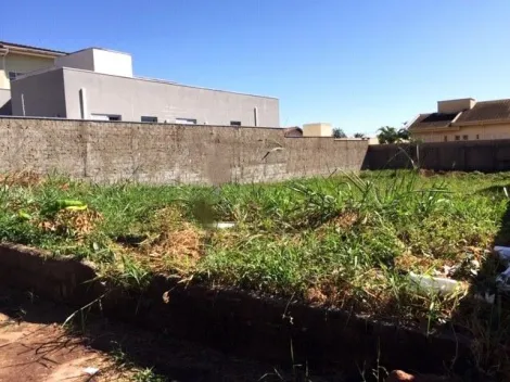 imagem 1 - Terreno à venda, 497m² - City Ribeirão. imagem 1 - Terreno à venda, 497m² - City Ribeirão.