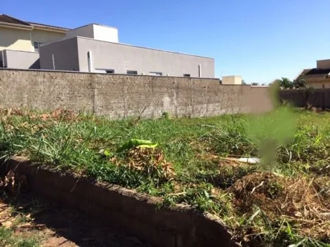 imagem 2 - Terreno à venda, 497m² - City Ribeirão. imagem 2 - Terreno à venda, 497m² - City Ribeirão.