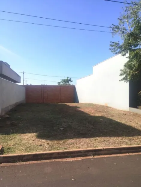 imagem 3 - Terreno à venda, 250 m² - Jardim Valência - Bonfim Paulista. imagem 3 - Terreno à venda, 250 m² - Jardim Valência - Bonfim Paulista.