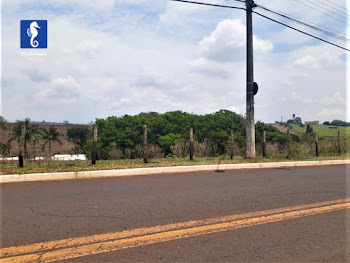 imagem 1 - Terreno à venda, 18000 m² - Parque Ribeirão Preto. imagem 1 - Terreno à venda, 18000 m² - Parque Ribeirão Preto.