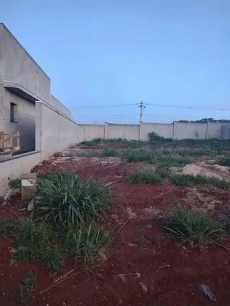 imagem 1 - Terreno em condomínio à venda, 250m² - Residencial Quinta da Mata II - Recreio Anhangüera. imagem 1 - Terreno em condomínio à venda, 250m² - Residencial Quinta da Mata II - Recreio Anhangüera.