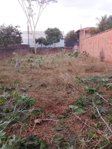 imagem 2 - Terreno à venda, 330m² - Parque Residencial Cândido Portinari. imagem 2 - Terreno à venda, 330m² - Parque Residencial Cândido Portinari.