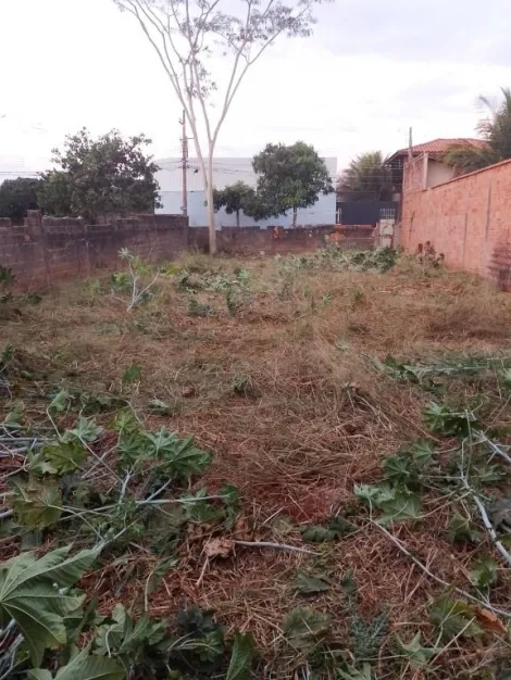 imagem 3 - Terreno à venda, 330m² - Parque Residencial Cândido Portinari. imagem 3 - Terreno à venda, 330m² - Parque Residencial Cândido Portinari.