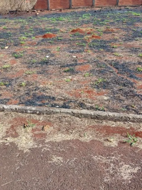 imagem 2 - Terreno à venda, 400m² - Condomínio Morada Verde - Bonfim Paulista. imagem 2 - Terreno à venda, 400m² - Condomínio Morada Verde - Bonfim Paulista.