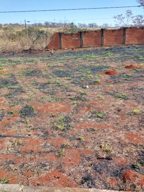 imagem 1 - Terreno à venda, 400m² - Condomínio Morada Verde - Bonfim Paulista. imagem 1 - Terreno à venda, 400m² - Condomínio Morada Verde - Bonfim Paulista.