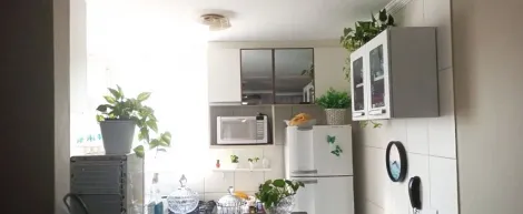 imagem 1 - Apartamento à venda com 2 quartos, 48m² - Edifício Sapazio Ravage - Sumarezinho. imagem 1 - Apartamento à venda com 2 quartos, 48m² - Edifício Sapazio Ravage - Sumarezinho.