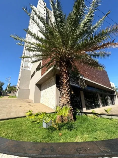 imagem 3 - Ponto para alugar, 311 m² - Jardim Sumaré - Ribeirão Preto/SP. imagem 3 - Ponto para alugar, 311 m² - Jardim Sumaré - Ribeirão Preto/SP.