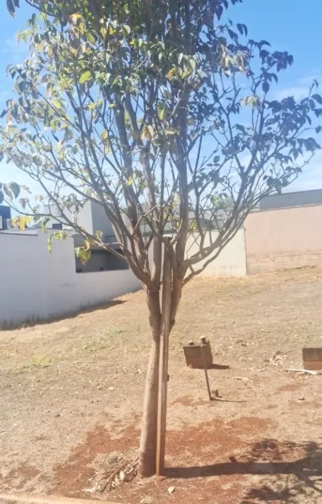 imagem 2 - Terreno à venda, 262 m² - Jardim Valência - Bonfim Paulista. imagem 2 - Terreno à venda, 262 m² - Jardim Valência - Bonfim Paulista.