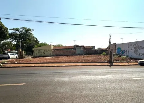 imagem 4 - Terreno para alugar, 470 m² - Vila Virgínia - Ribeirão Preto/SP. imagem 4 - Terreno para alugar, 470 m² - Vila Virgínia - Ribeirão Preto/SP.