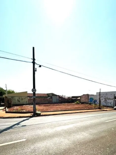 imagem 5 - Terreno para alugar, 470 m² - Vila Virgínia - Ribeirão Preto/SP. imagem 5 - Terreno para alugar, 470 m² - Vila Virgínia - Ribeirão Preto/SP.