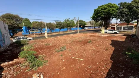 imagem 1 - Terreno para alugar, 470 m² - Vila Virgínia - Ribeirão Preto/SP. imagem 1 - Terreno para alugar, 470 m² - Vila Virgínia - Ribeirão Preto/SP.