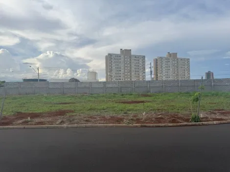 imagem 1 - Terreno à venda, 296m² - Jardins do Parque - Quinta da Primavera. imagem 1 - Terreno à venda, 296m² - Jardins do Parque - Quinta da Primavera.