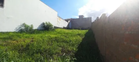 imagem 1 - Terreno à venda, 300m² - Jardim Emília - Bonfim Paulista. imagem 1 - Terreno à venda, 300m² - Jardim Emília - Bonfim Paulista.