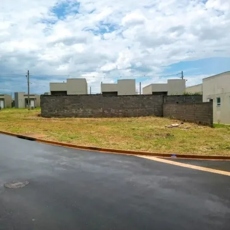 imagem 1 - Terreno à venda, 303m² - Jardim Regatas. imagem 1 - Terreno à venda, 303m² - Jardim Regatas.