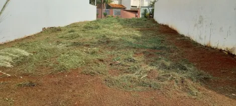 imagem 1 - Terreno à venda, 300m² - Jardim Califórnia. imagem 1 - Terreno à venda, 300m² - Jardim Califórnia.