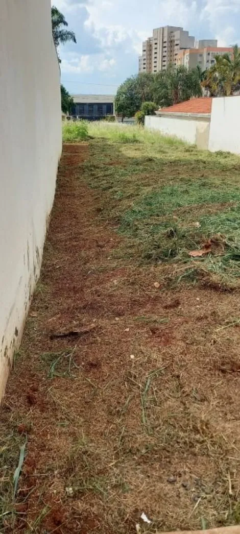 imagem 2 - Terreno à venda, 300m² - Jardim Califórnia. imagem 2 - Terreno à venda, 300m² - Jardim Califórnia.