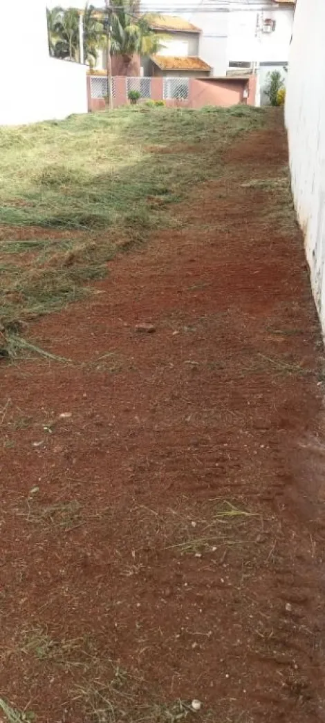 imagem 4 - Terreno à venda, 300m² - Jardim Califórnia. imagem 4 - Terreno à venda, 300m² - Jardim Califórnia.