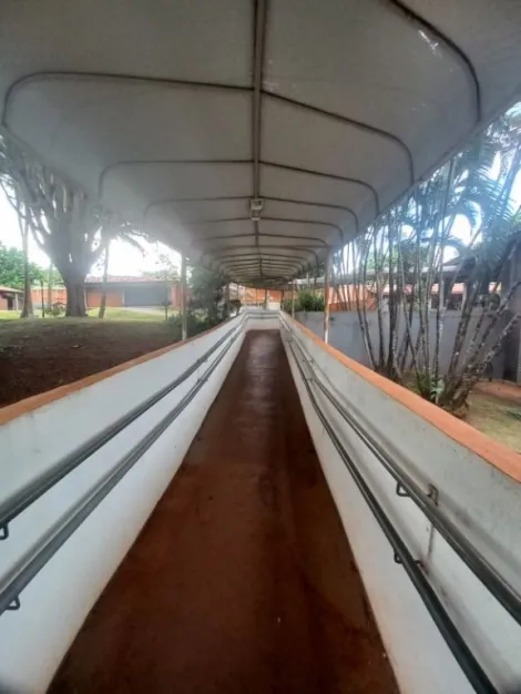 imagem 2 - Chácara à venda com 6 quartos, 24.000 m² - Centro - Bonfim Paulista. imagem 2 - Chácara à venda com 6 quartos, 24.000 m² - Centro - Bonfim Paulista.