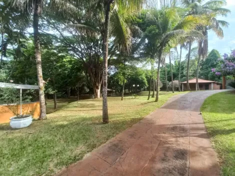 imagem 1 - Chácara à venda com 6 quartos, 24.000 m² - Centro - Bonfim Paulista. imagem 1 - Chácara à venda com 6 quartos, 24.000 m² - Centro - Bonfim Paulista.