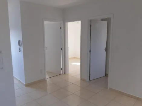 imagem 1 - Apartamento á venda com 2 quartos, 42 m² - Condomínio Lar França - Bonfim Paulista. imagem 1 - Apartamento á venda com 2 quartos, 42 m² - Condomínio Lar França - Bonfim Paulista.