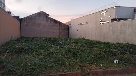 imagem 3 - Terreno à venda, 200m² - Jardim Santa Cecília - Bonfim Paulista. imagem 3 - Terreno à venda, 200m² - Jardim Santa Cecília - Bonfim Paulista.